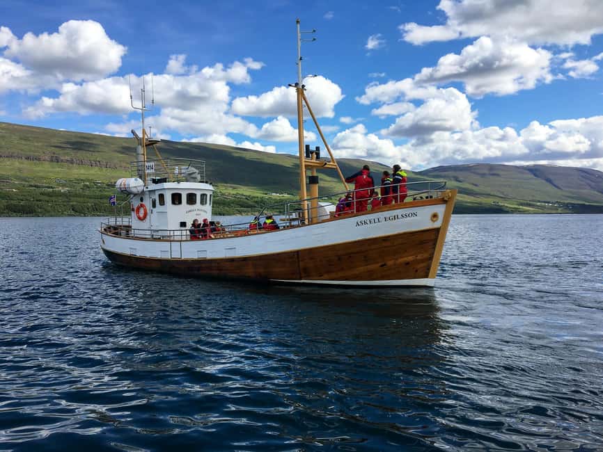 Akureyri: Whale Watching Tour with Transfer from Port - Key Things I’d Focus On Before You Go
