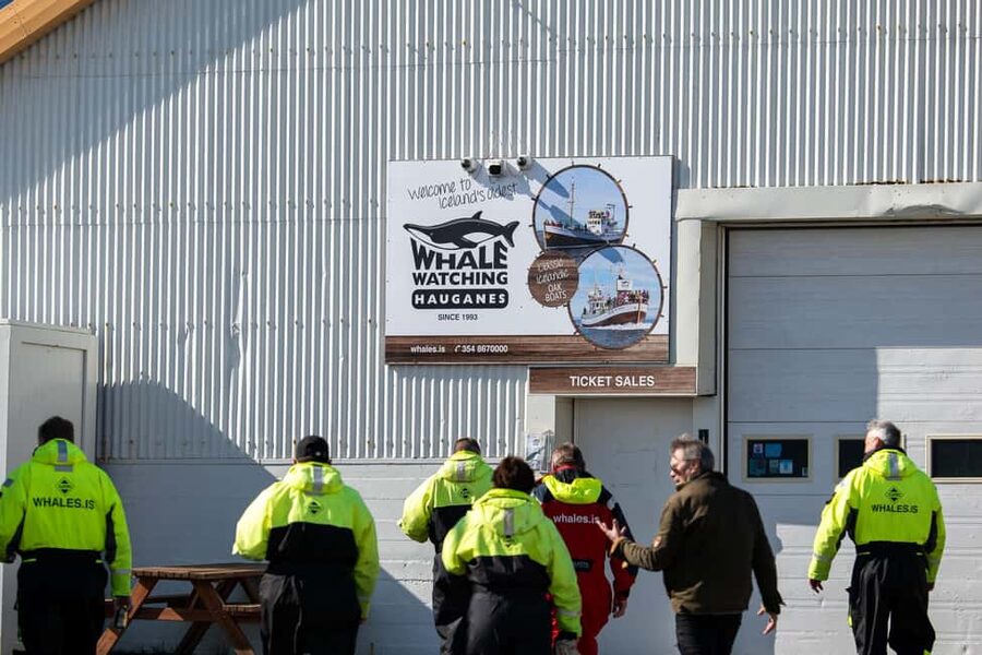 Akureyri: Whale Watching Tour with Transfer from Port - Price and Value for a 4 to 8 Hour Whale Day