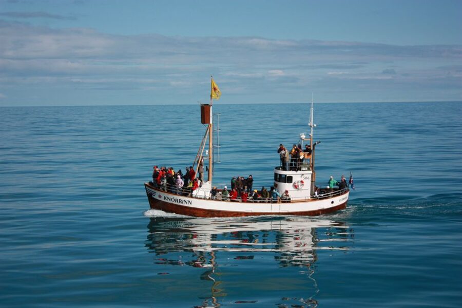 Árskógssandur: Whale-Watching Boat Trip - What you might spot: humpback whales, dolphins, and seabirds