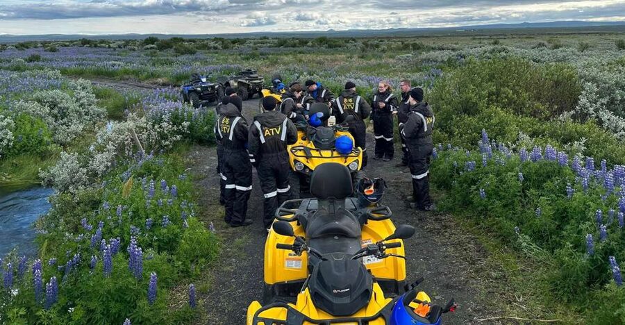 ATV guided trip close to dettifoss iceland - Why the Dettifoss area works so well for an ATV wildlife trip