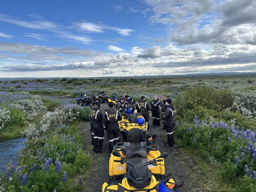 ATV guided trip close to dettifoss iceland - Wildlife viewing tips that actually help