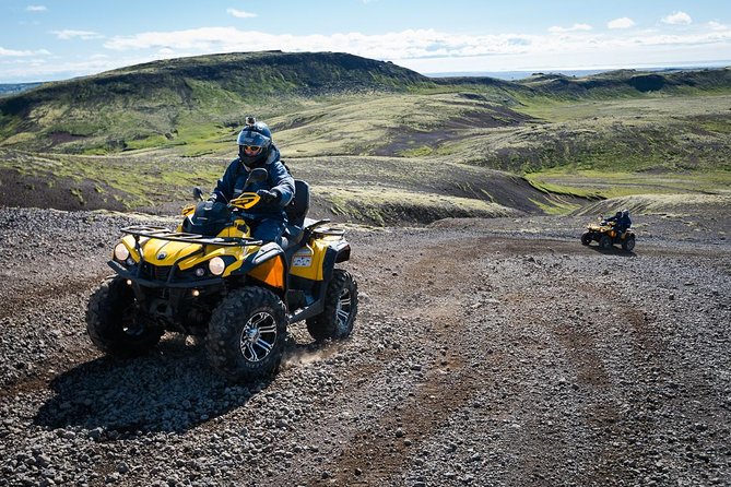 ATV & Whale Watching Full day adventure in Reykjavik - Lunch in Reykjavik Harbor: Warm Up, Refill, and Reset