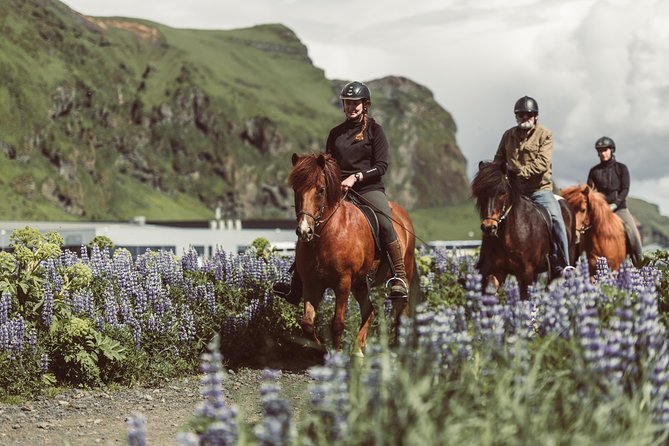Black Sand Beach Horse Riding Tour from Vik - Key things to know before you book