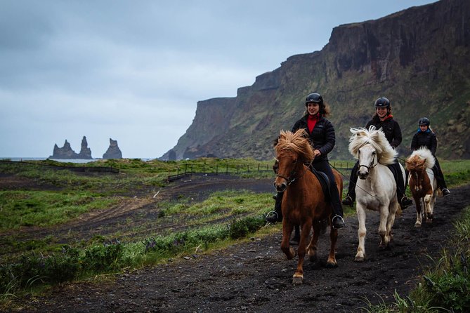 Black Sand Beach Horse Riding Tour from Vik - Vík Horse Adventure and the real appeal of Víkurfjara