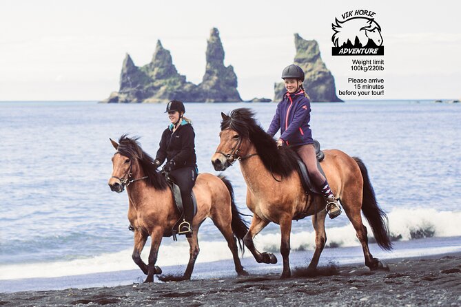 Black Sand Beach Horse Riding Tour from Vik - Horses, pacing, and the tölt question (what you may actually get)