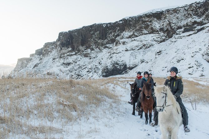 Black Sand Beach Horse Riding Tour from Vik - What to wear for black sand, wind, and photos