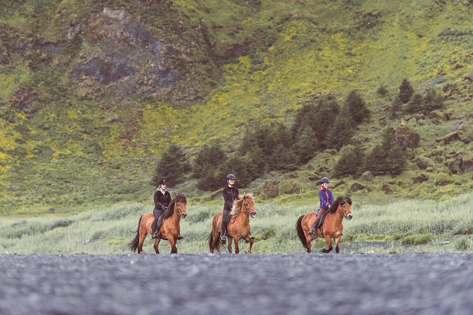 Black Sand Beach Horse Riding Tour from Vik - Price and value: what $133 buys you in Vík