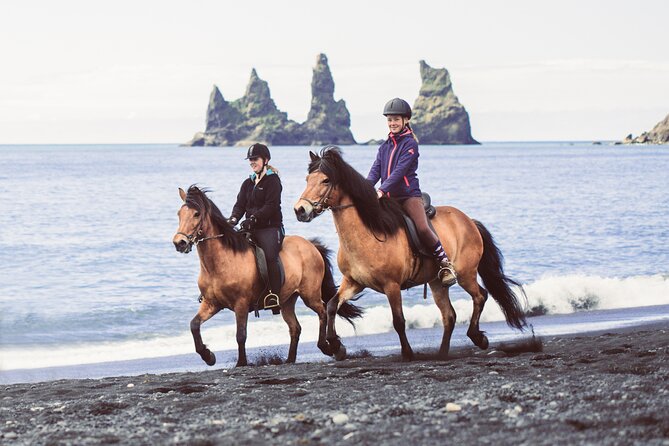 Black Sand Beach Horse Riding Tour from Vik - Guide energy and the small moments that make it feel special