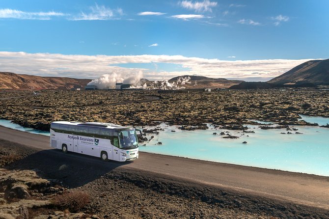 Blue Lagoon Return Bus Transfer from Reykjavik - Price and Value: Is This $58 Transfer a Smart Move?