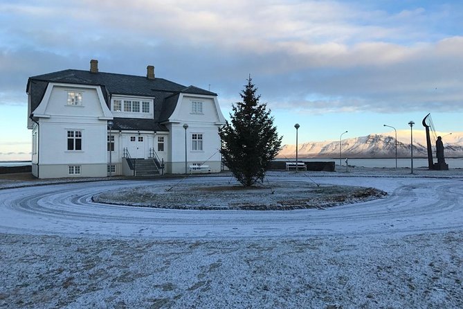 Blue Lagoon & Reykjavík Sightseeing - PRIVATE TOUR - Price reality check: $1,114.38 per person and what you get