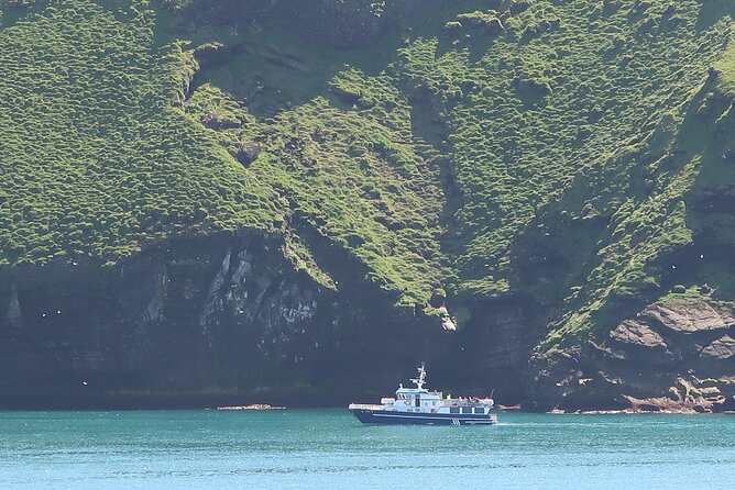 Boat Tour in Vestmannaeyjar - Price and Value: Is $114.65 Worth 1.5 Hours at Sea?