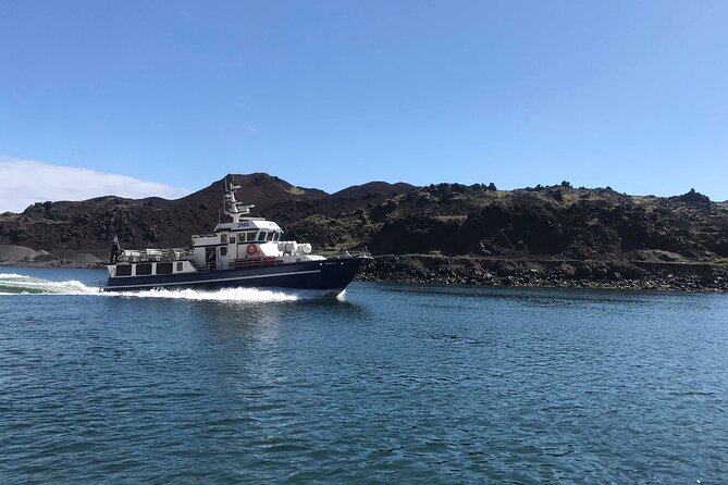Boat Tour in Vestmannaeyjar - The Sea Cave Stop: What It Adds and the Practical Catch