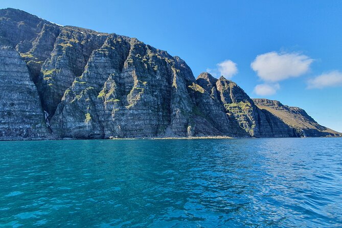 Boat Tours from Siglufjörður - Key things I’d plan around