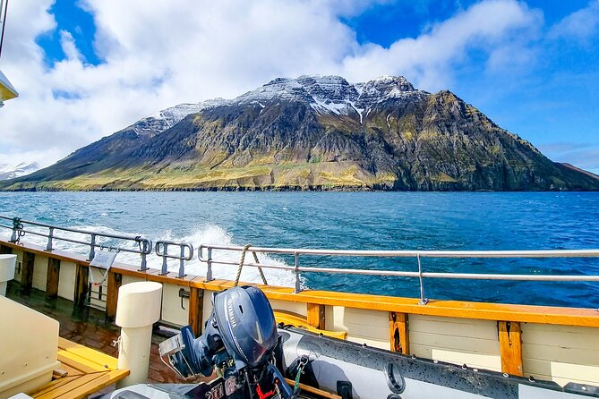 Boat Tours from Siglufjörður - First stop: meeting by the sea in Siglufjörður