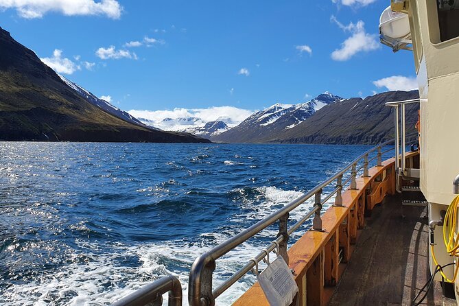 Boat Tours from Siglufjörður - Cod fishing time: what’s included and how to approach it