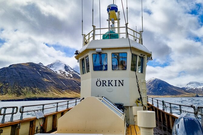 Boat Tours from Siglufjörður - Who this tour suits best