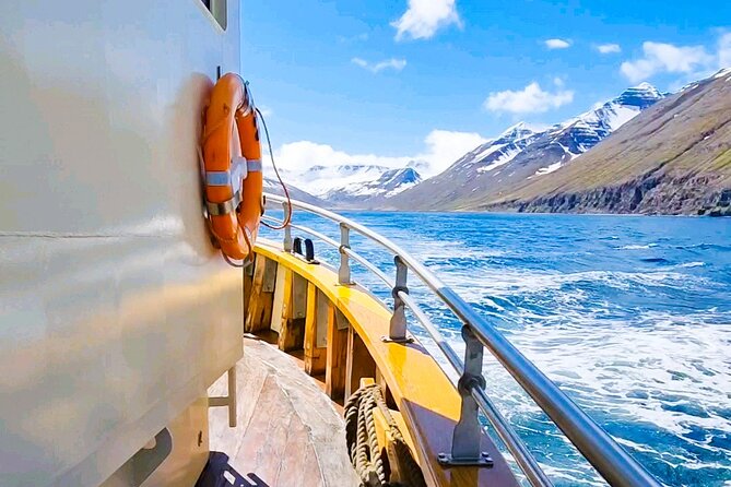 Boat Tours from Siglufjörður - A route built around named places, not vague stops