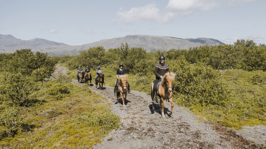 Borgarnes: Horseback Riding Tour with Prep Lesson - Quick hits before you saddle up