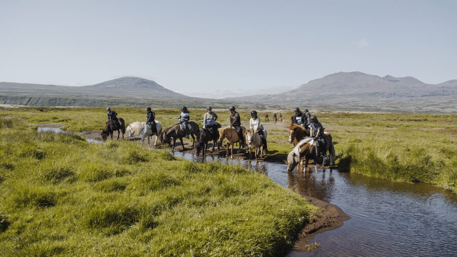 Borgarnes: Horseback Riding Tour with Prep Lesson - Meet Your Horse, Get Set, Then Head Out on the Trail