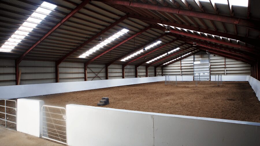 Borgarnes: Horseback Riding Tour with Prep Lesson - Regular vs Private: Getting More Personal or Keeping It Social