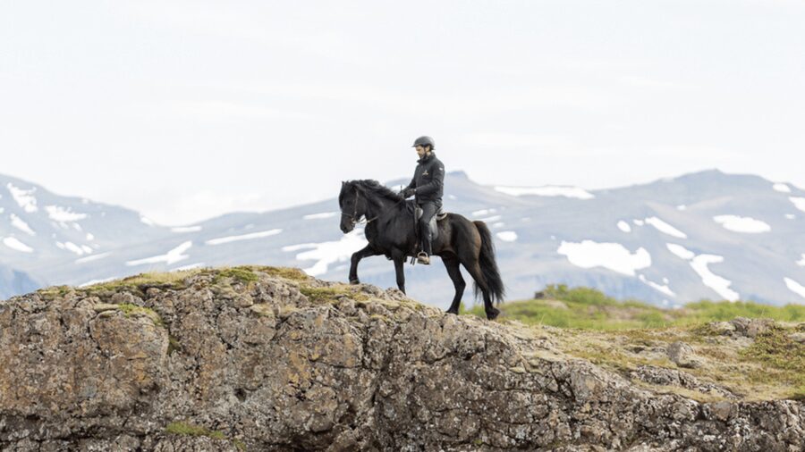 Borgarnes: Horseback Riding Tour with Prep Lesson - What to Bring, What’s Not Allowed, and Small Safety Notes