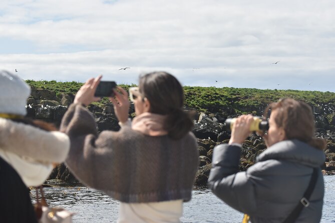 Classic Puffin Watching Cruise from Downtown Reykjavík - Boarding, Deck Details, and How to Stay Comfortable