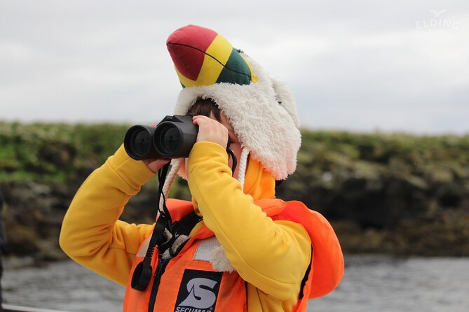 Classic Puffin Watching Cruise from Downtown Reykjavík - What’s Included in the $60 Ticket, and What You Should Bring
