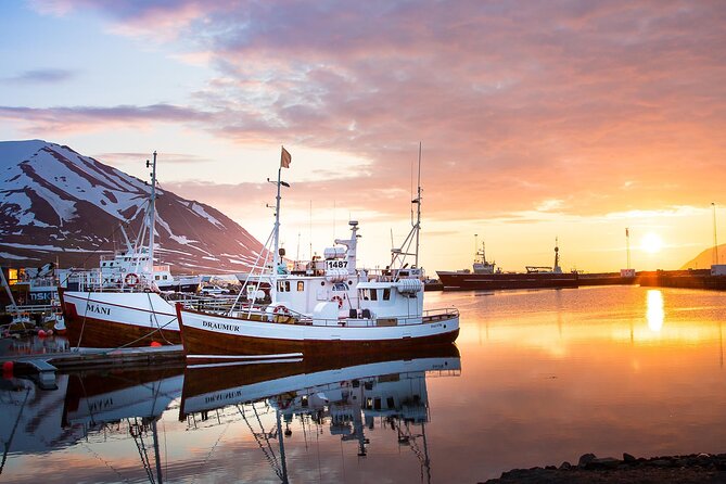 Classic Whale Watching from Dalvík Near Akureyri - What 3 hours on the water really means