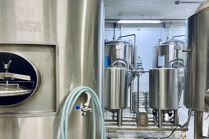 Craft Beer and Brewery Tour in Iceland - Tasting Five 200 ml Beers, and How to Pace Yourself
