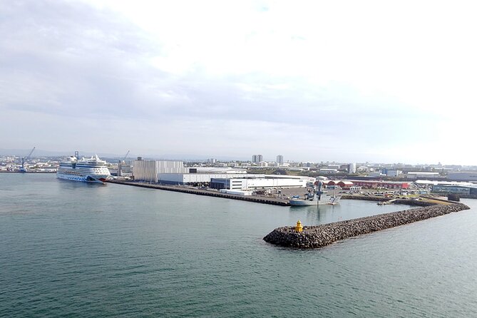 Cruise Port Transfer : Reykjavik to Cruise Port - Key things I’d watch for before booking
