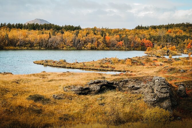 Cruise Tour Godafoss and Myvatn Lake and Baths Small Group - Key things I’d watch for