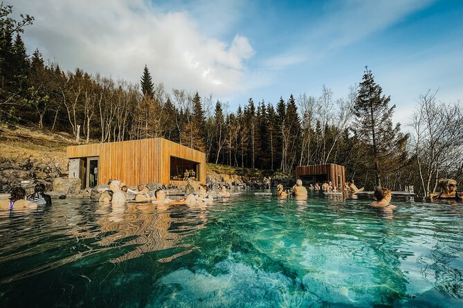 Cruise Tour Godafoss Turf Houses and Forest Baths Small Group - Cruise Timing in Akureyri: The Easy-Off, Easy-On Plan