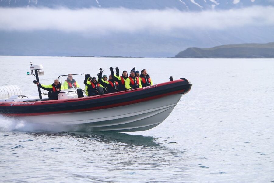 Dalvík: Whale Watching Speedboat Tour - How the search really works: whales, dolphins, seals, and seabirds