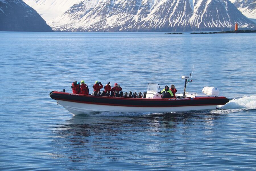 Dalvík: Whale Watching Speedboat Tour - Comfort and safety on a fast rib: what to expect in real life
