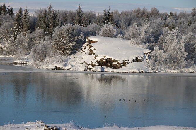 Day Trip to Lake Mývatn And The Nature Baths from Akureyri - Skútustaðagígar pseudo craters: Lake Mývatn’s volcanic leftovers