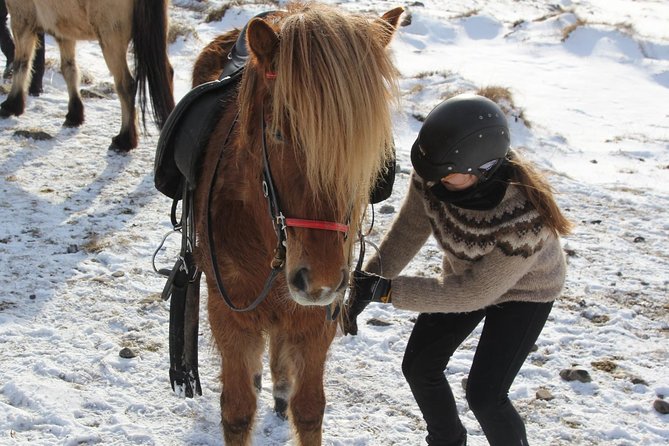 Deacon Horse Riding Tour - Why Icelandic tölt feels different from regular riding