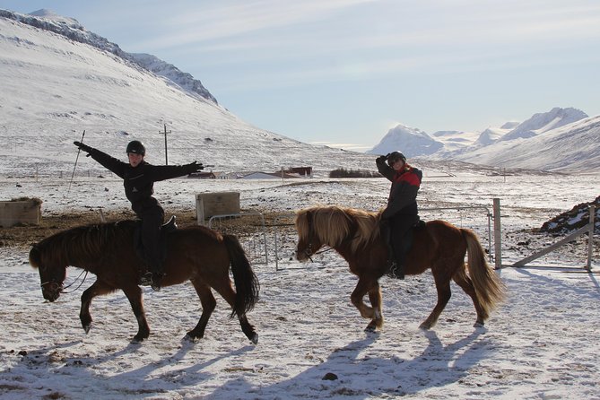 Deacon Horse Riding Tour - The real route: wooded trails, water crossings, and mountain views