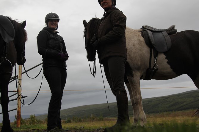 Deacon Horse Riding Tour - Small-group size that actually changes your experience