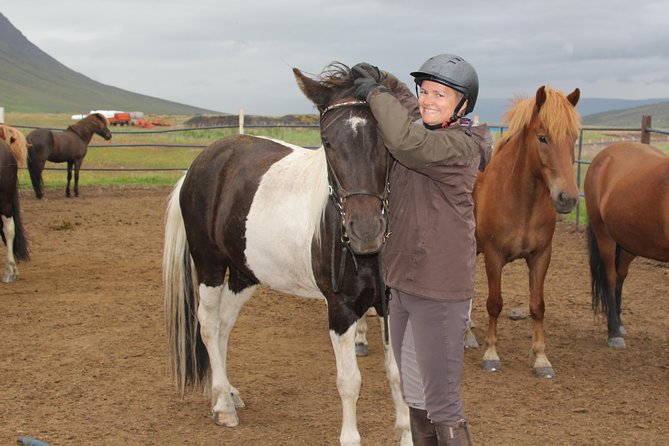 Deacon Horse Riding Tour - When this tour runs and how weather changes the plan
