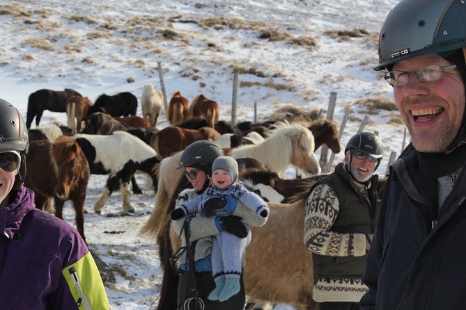 Deacon Horse Riding Tour - From Ytri Bægisá to your first cues in the saddle