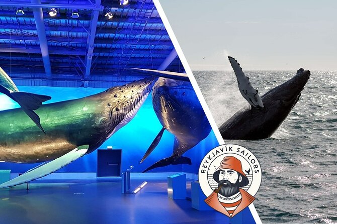 Deluxe Whale Watching and Whales of Iceland Exhibition Combo from Reykjavik - Value For $120: Why This Combo Can Feel Like a Smart Buy