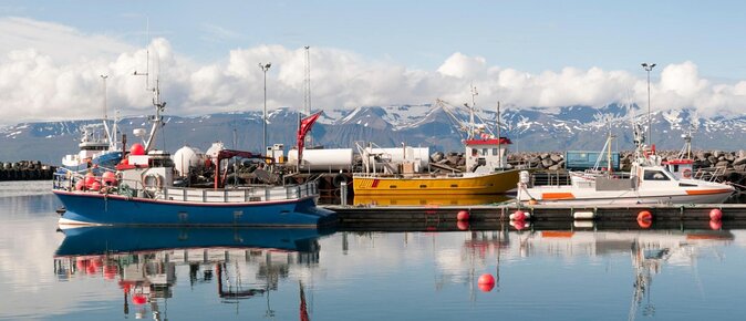 Diamond Circle Myvatn Waterfalls, and Husavik from Akureyri Tour - Key highlights to look for before you go