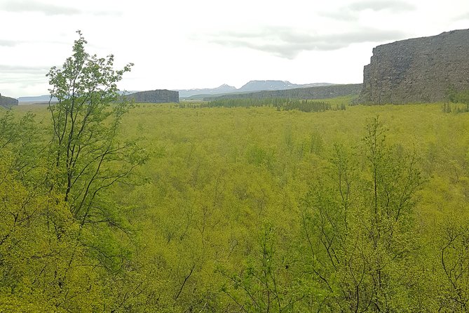 Diamond Circle, Waterfalls and Amazing Landscapes from Akureyri - Dettifoss: the most powerful stop on the schedule