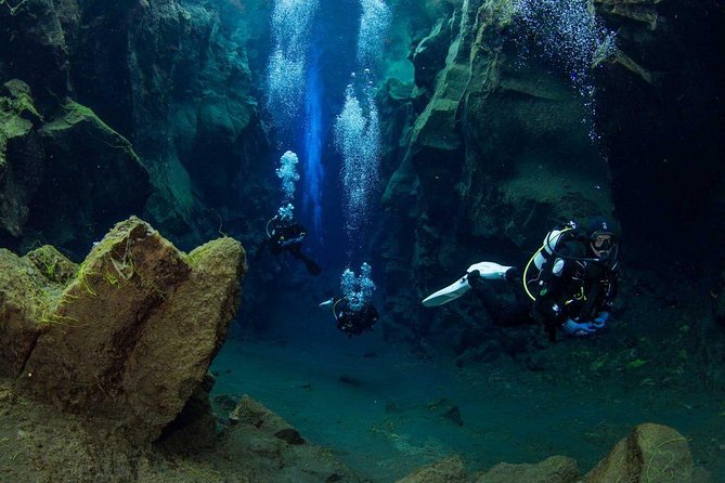Dive the Divide: Silfra Fissure Scuba Tour | Reykjavik Pickup - Guides, Safety, and Getting the Best Day Possible