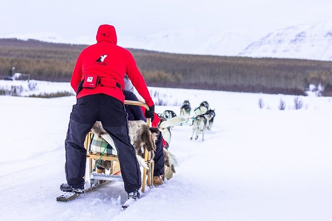 Dog Sledding Tour near Akureyri - Cuddling Time and the Warm Human Ending