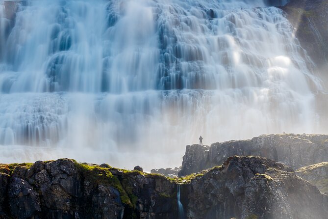 Dynjandi Waterfall & Iceland Farm Visit Tour - The Gemlufell Farm stop near Þingeyri: real life, not a souvenir set