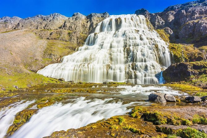 Dynjandi Waterfall & Iceland Farm Visit Tour - What you’re really paying for at $149