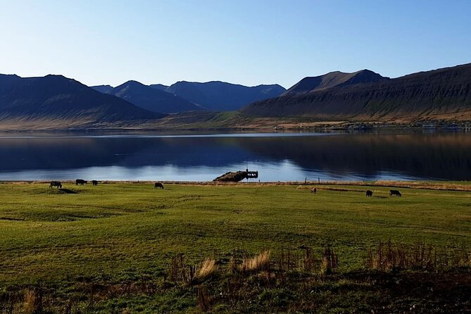 Dynjandi Waterfall & Iceland Farm Visit Tour - Pace, terrain, and what to bring for Dynjandi