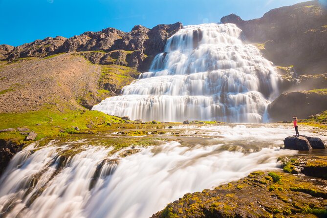 Dynjandi Waterfall & Iceland Farm Visit Tour - Who this tour fits best