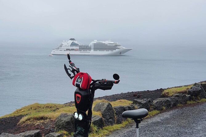 Eyjascooter Puffin Tour in Iceland - Wrapping up at the Sea Life Trust Museum (your bird backup plan)